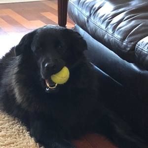 Meet your Posher, Heather rodgers-